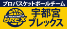 栃木県のプロバスケットボールチーム・宇都宮ブレックス